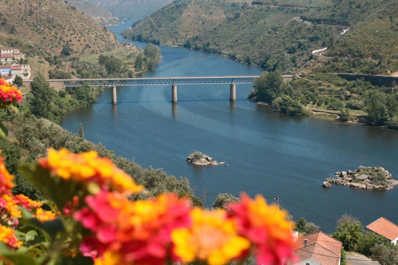 Quinta Do Belo-Ver Turismo De Habitacao Belver  Luaran gambar